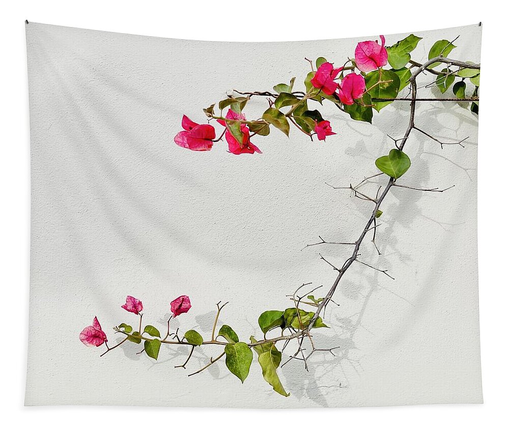  Tapestry featuring the photograph Bougainvillea by Julie Gebhardt
