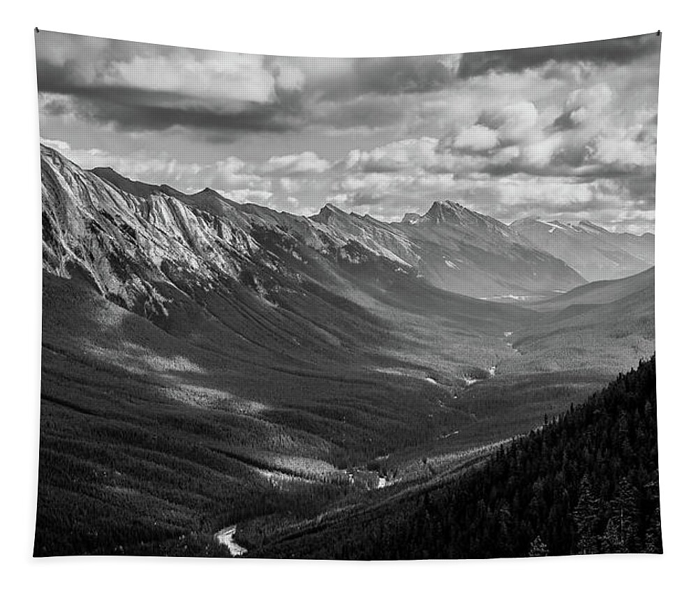 Bow Valley Tapestry featuring the photograph Bow Valley Black And White by Dan Sproul