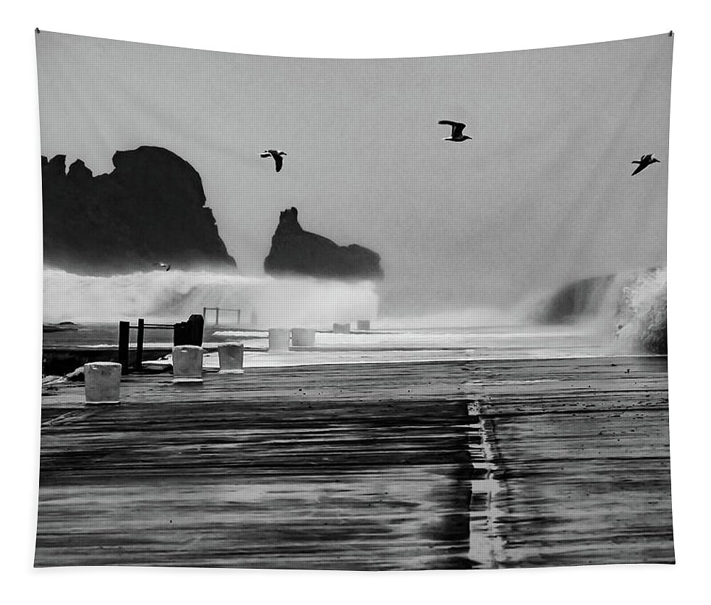 Howth Tapestry featuring the photograph Brave Birds, Winter Storm - Howth, Dublin by John Soffe