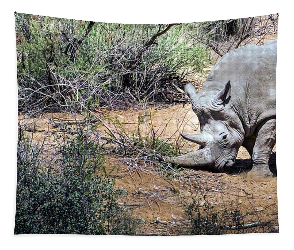 Wildlife Tapestry featuring the photograph Brave Warrior by Laura Putman