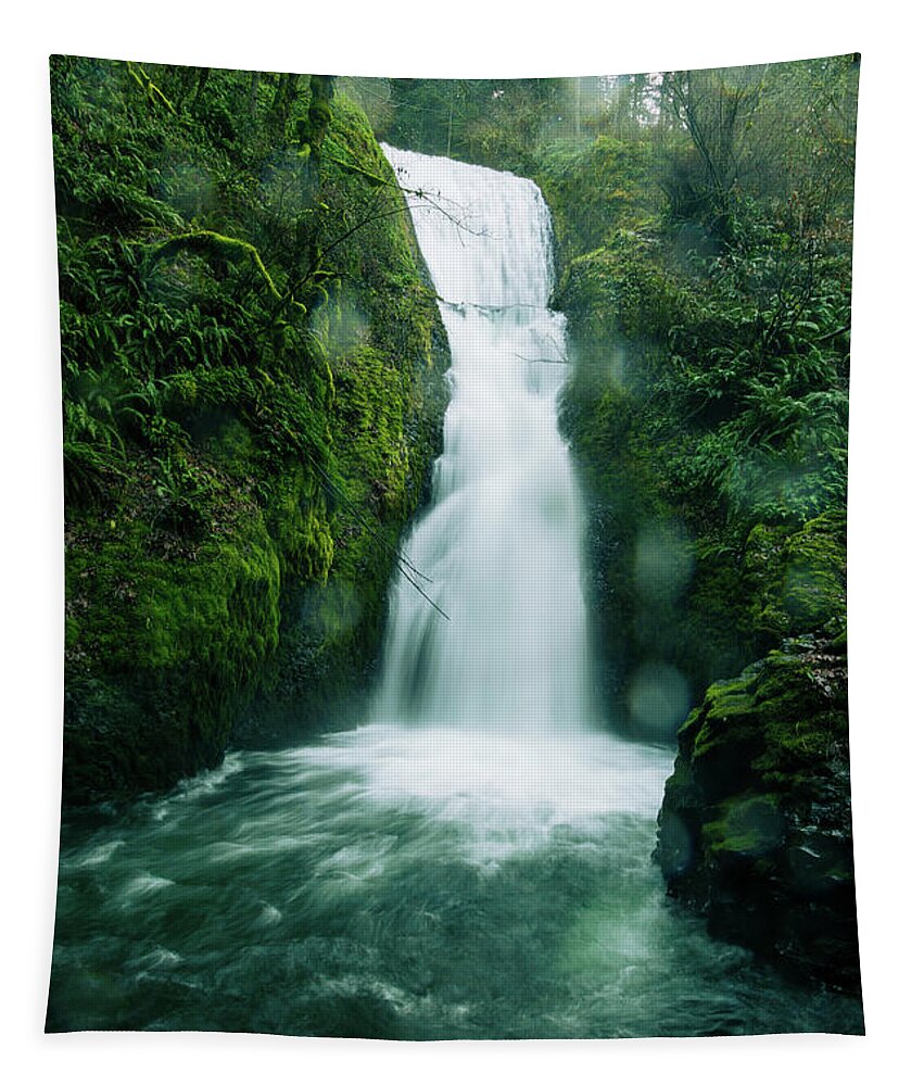 Waterfalls Tapestry featuring the photograph Bridal Veil Falls in rain by Aashish Vaidya