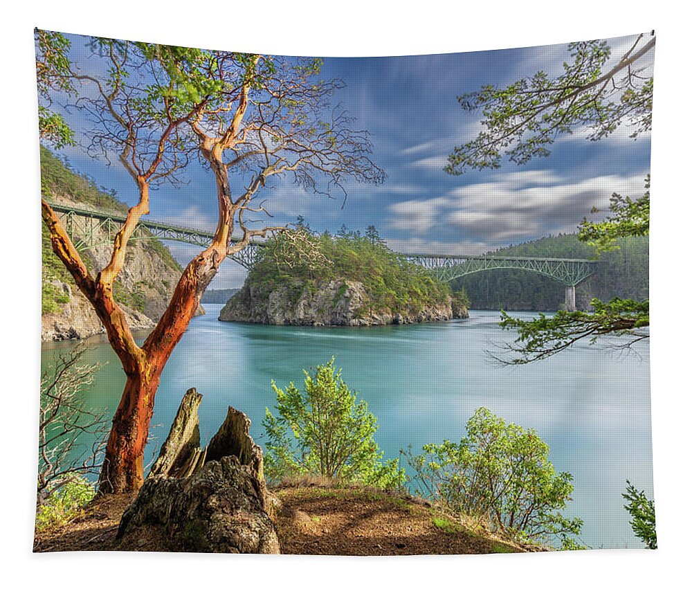 Deception Pass Tapestry featuring the photograph Bridge and Madrone by Gary Skiff