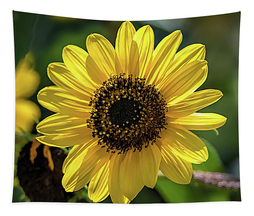 Helianthus Tapestry featuring the photograph Bright and Cheery Sunflower by Debra Martz