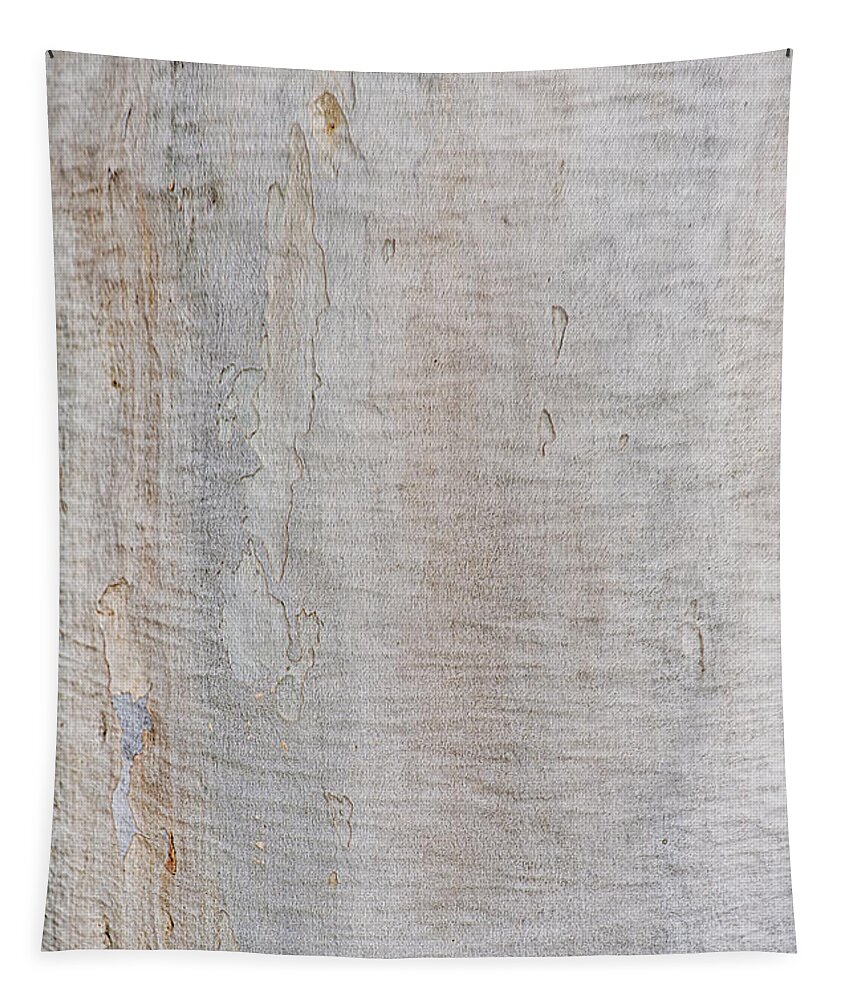 Australia Tapestry featuring the photograph White Bark by Jay Heifetz