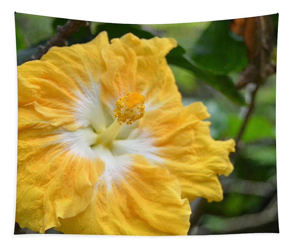 Flower Tapestry featuring the photograph Bright Yellow White Hibiscus by Amy Fose