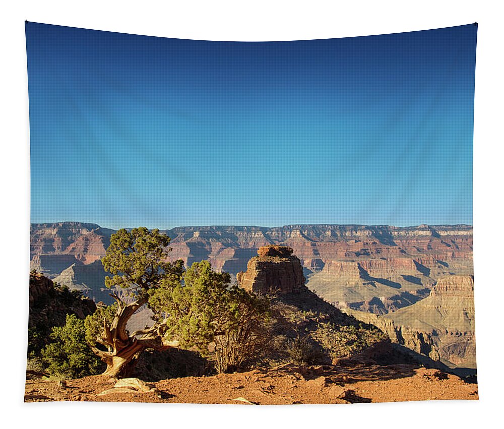 Grand Canyon National Park Tapestry featuring the photograph Bristlecone Pine in Grand Canyon by Kunal Mehra