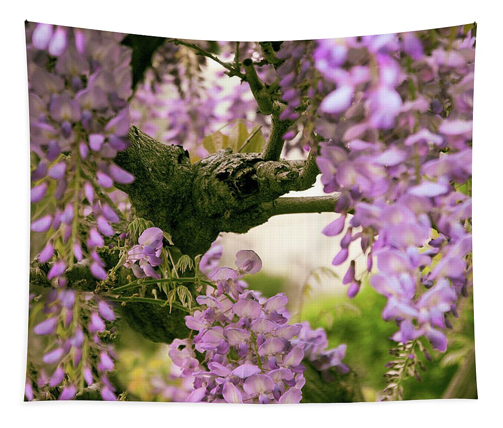 Wisteria Tapestry featuring the photograph The Scent of Wisteria by Jessica Jenney