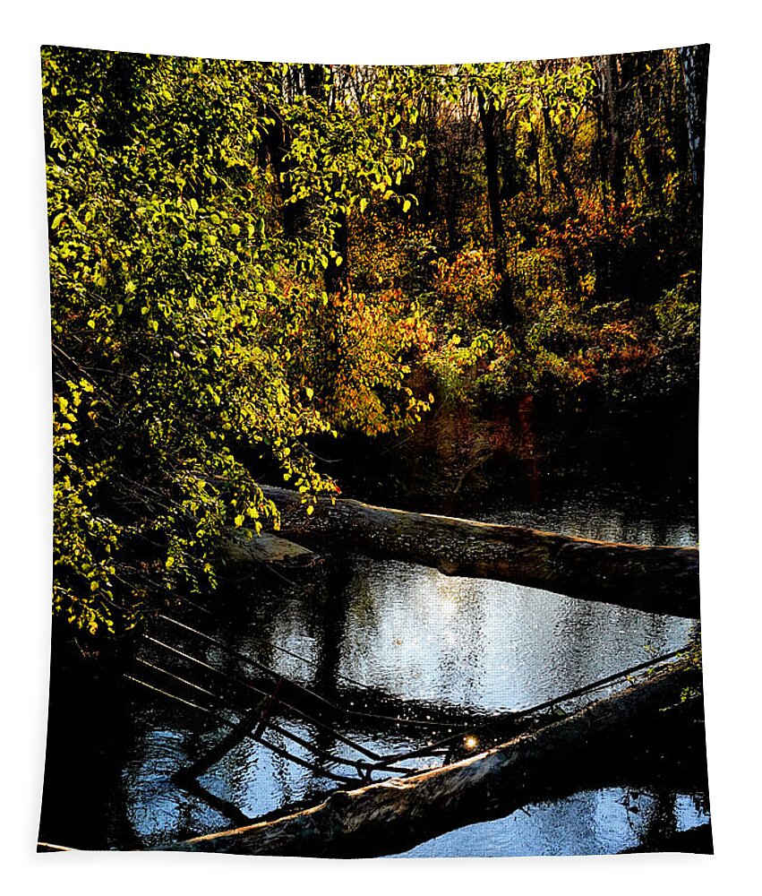 Tranquil Tapestry featuring the photograph Broad Run Autumn No. 1 by Steve Ember
