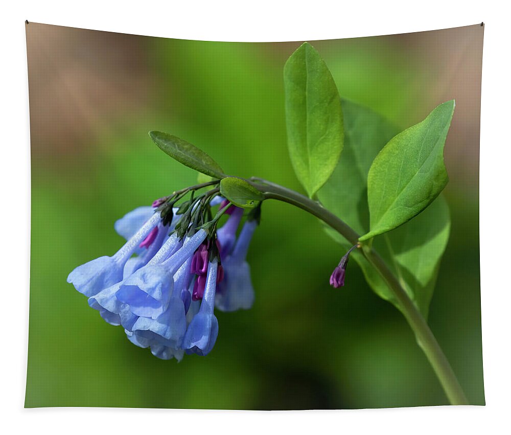 Flower Tapestry featuring the photograph Broad Run Bluebells by Art Cole