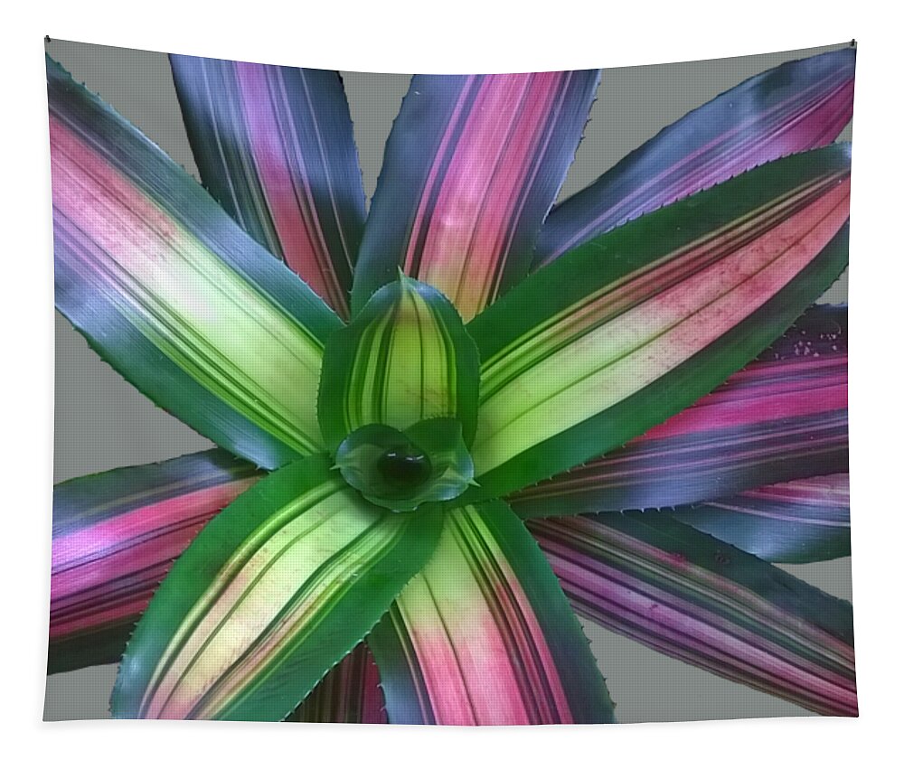 Duane Mccullough Tapestry featuring the photograph Bromeliad Leaves Abstract Clear by Duane McCullough