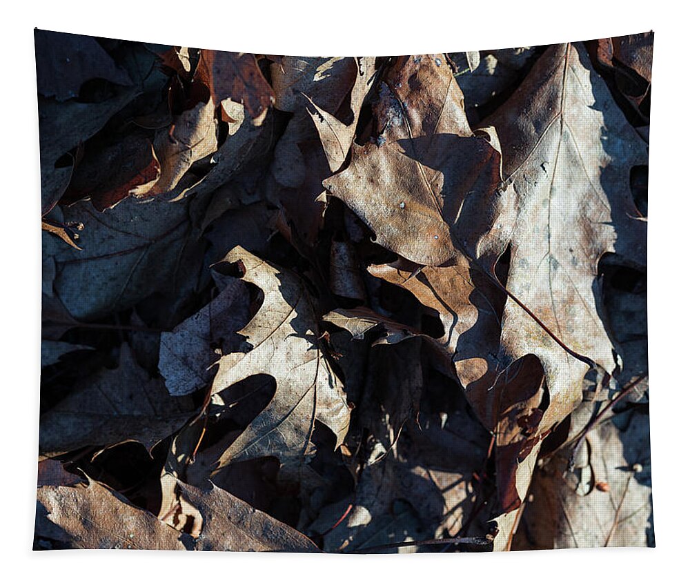 Autumn Tapestry featuring the photograph Brown Leaves by Amelia Pearn