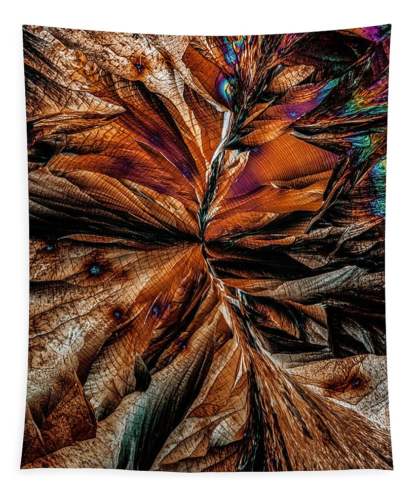 Chemistry Tapestry featuring the photograph Brown path of crystals by Jaroslaw Blaminsky