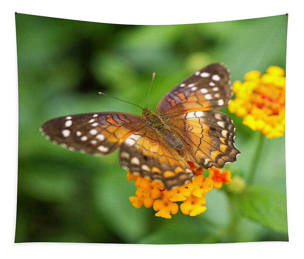 Butterfly Tapestry featuring the photograph Brown Peacock Butterfly by Rona Black