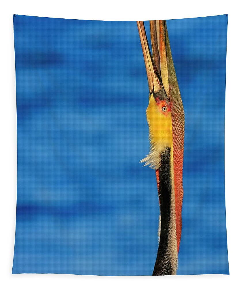 Brown Pelican Tapestry featuring the photograph Reach Within by John F Tsumas