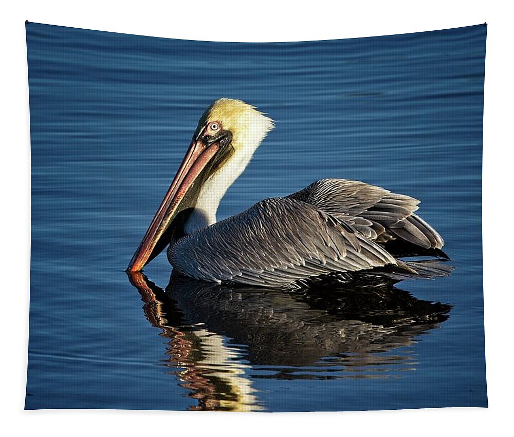 Brown Pelican Tapestry featuring the photograph Brown Pelican by Ronald Lutz
