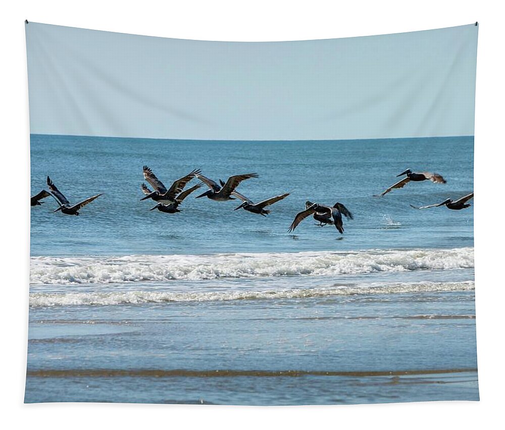 Action Tapestry featuring the photograph Brown Pelicans in Flight by Liza Eckardt