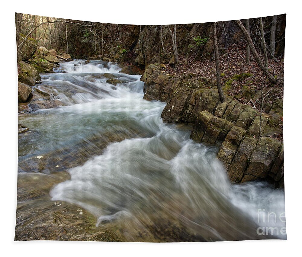 Triple Falls Tapestry featuring the photograph Bruce Creek 4 by Phil Perkins