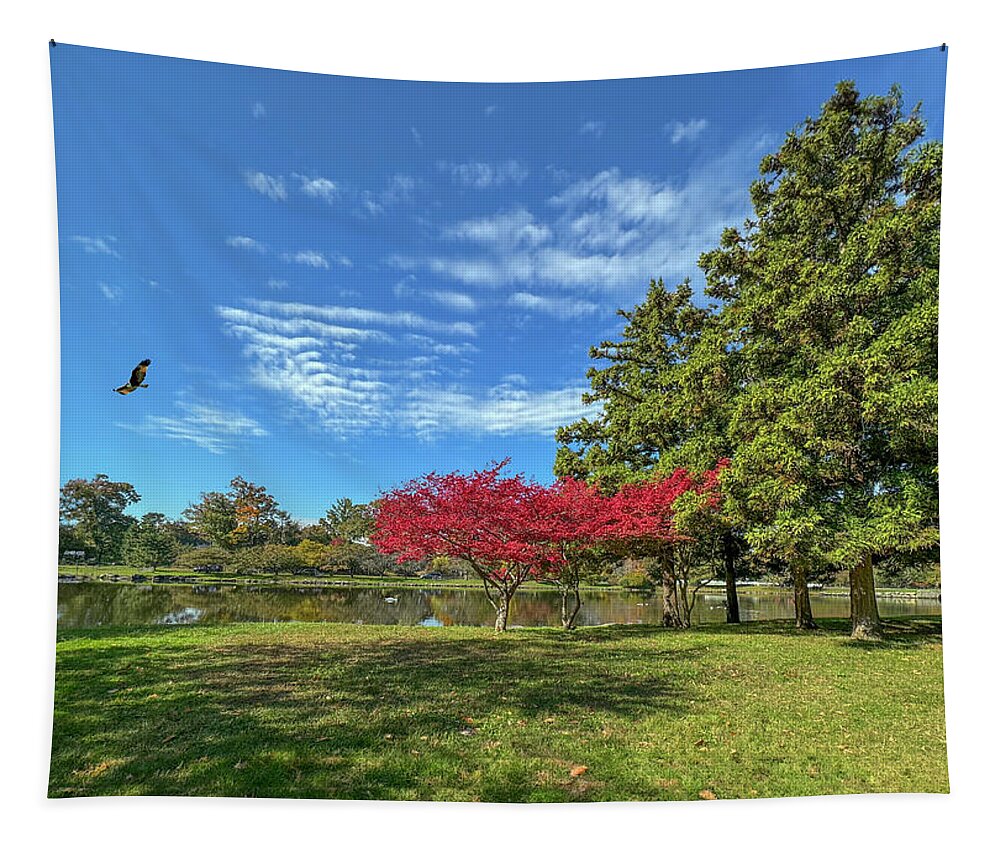Autumn Tapestry featuring the digital art Bruce Park in Autumn by Cordia Murphy