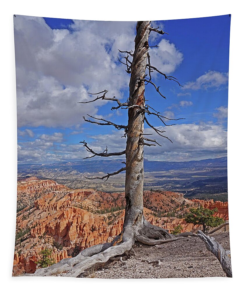 Bryce Canyon National Park Tapestry featuring the photograph Bryce Canyon National Park - Still standing by Yvonne Jasinski