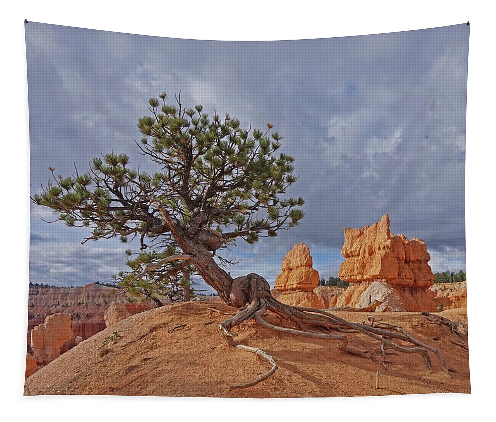 Bryce Canyon National Park Tapestry featuring the photograph Bryce Canyon National Park - Nothing can't break me by Yvonne Jasinski