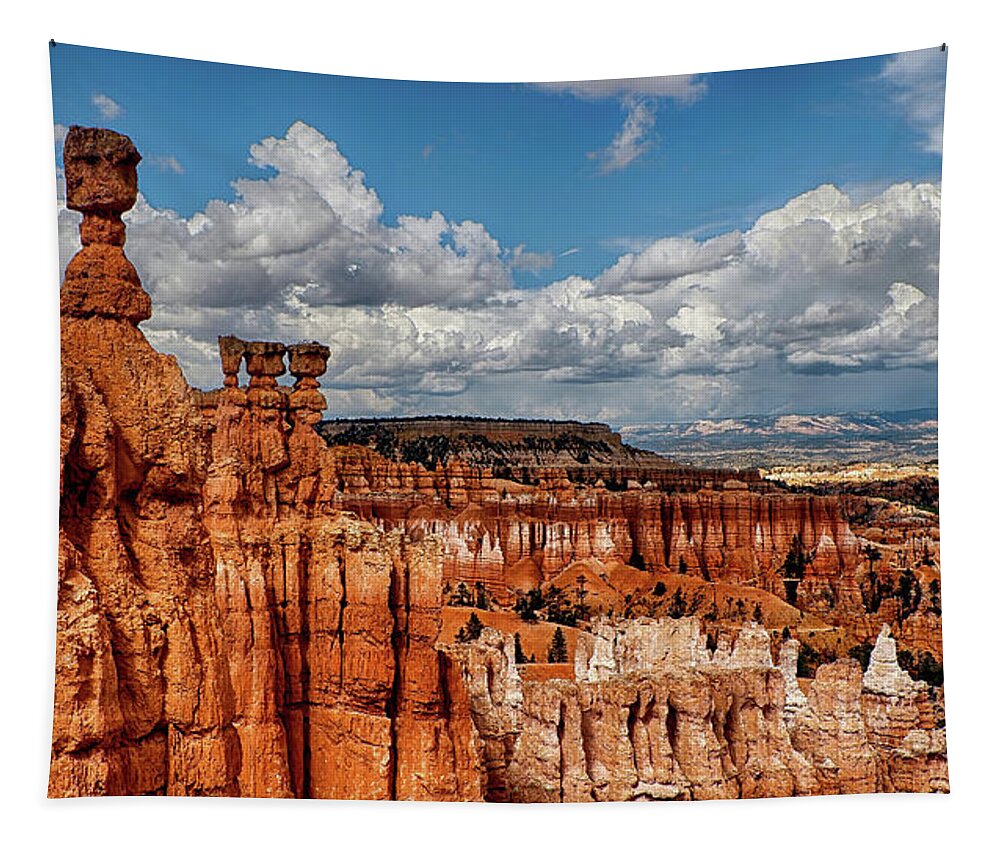 Bryce Tapestry featuring the photograph Bryce Canyon on a Beautiful Day by David Soldano