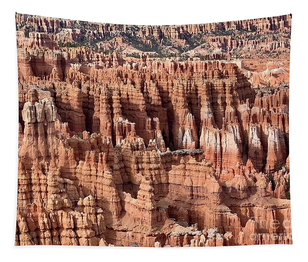 Bryce Canyon Tapestry featuring the digital art Bryce Canyon by Tammy Keyes