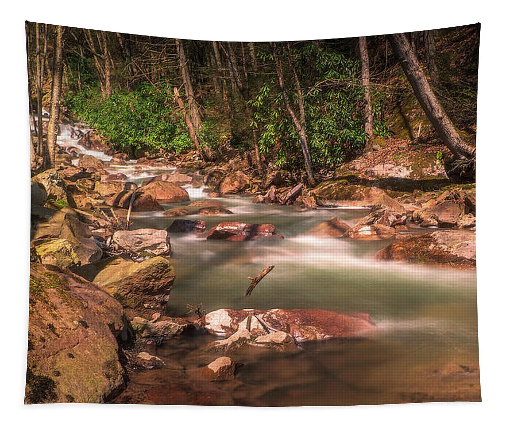 Buck Mountain Creek Tapestry featuring the photograph Buck Mountain Creek in April by Jason Fink