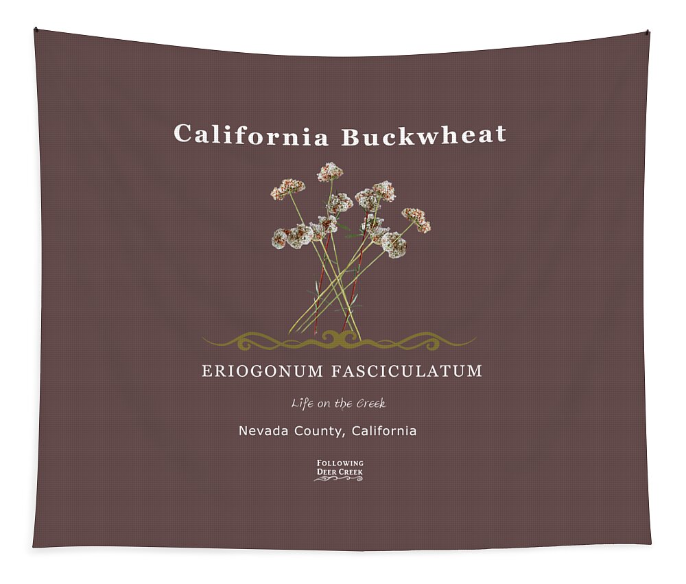 California Buckwheat Tapestry featuring the digital art Buckwheat by Lisa Redfern