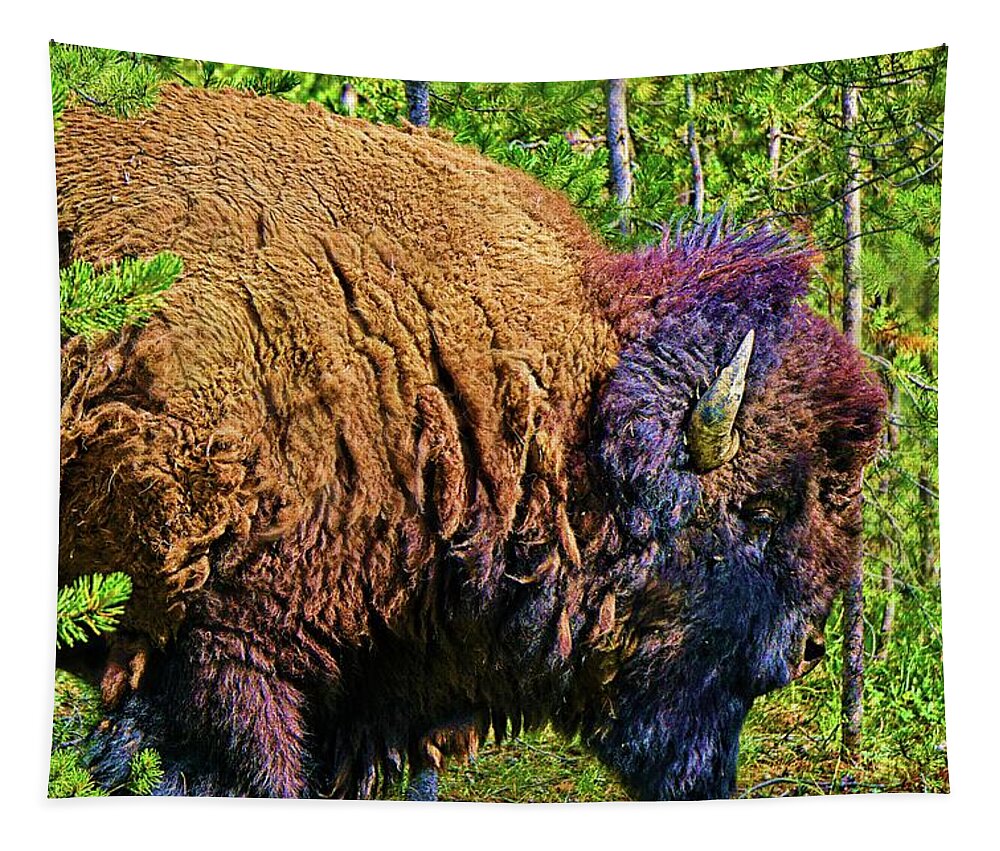 Animal Tapestry featuring the digital art Buffalo Illustrated by David Desautel