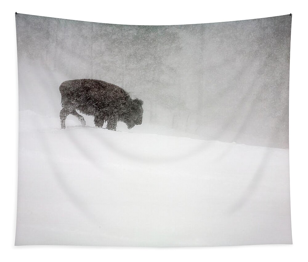Winter Tapestry featuring the photograph Buffalo in Winter Storm by Craig J Satterlee