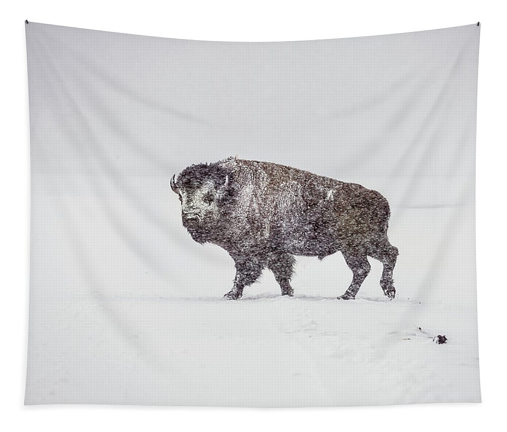 Buffalo Tapestry featuring the photograph Buffalo in Yellowstone Winter by Craig J Satterlee