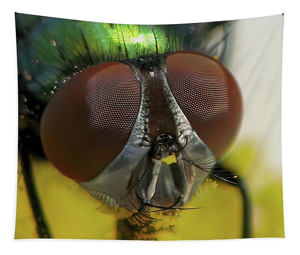 Fly Tapestry featuring the photograph Bugged Eyed by Lens Art Photography By Larry Trager