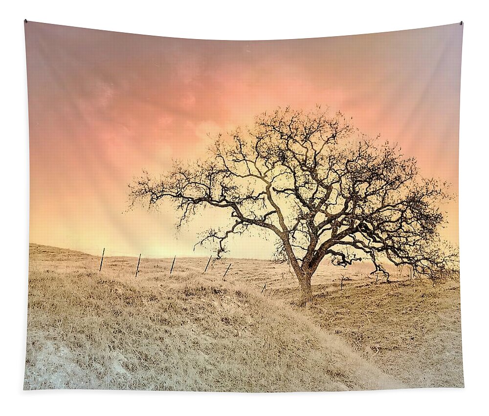 California Oak Tapestry featuring the photograph Bull Canyon Road - Series by Christina Ford