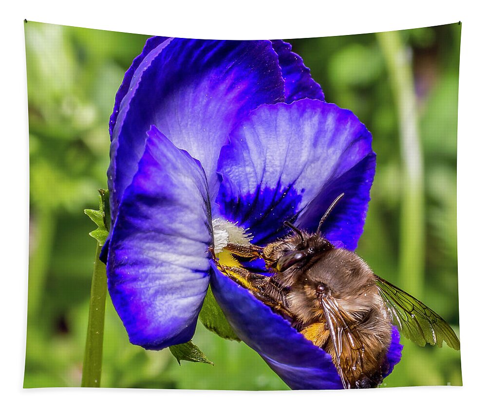 Bumble Tapestry featuring the photograph Bumble Bee On A Blue Flower by Gemma Mae Flores Sellers