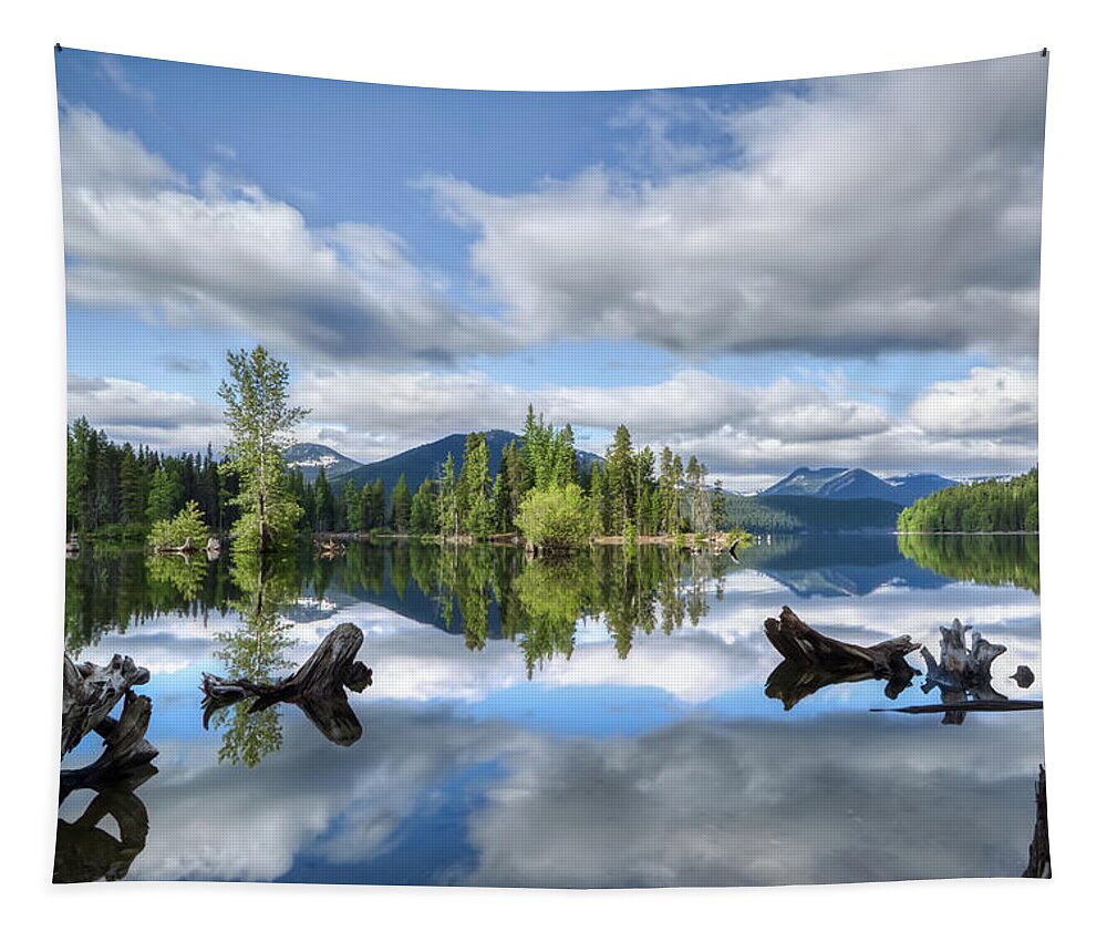Mountain Tapestry featuring the photograph Bumping Lake Reflections by Loyd Towe Photography