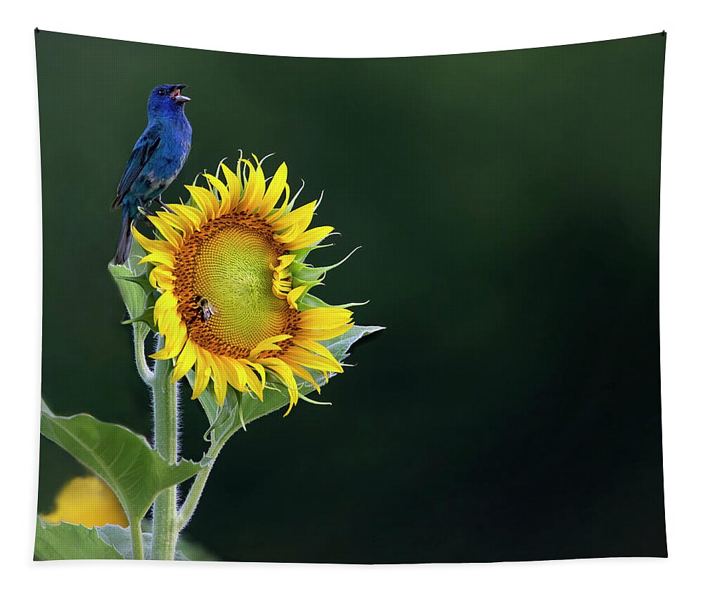 Bird Tapestry featuring the photograph Bunting Ballad by Art Cole