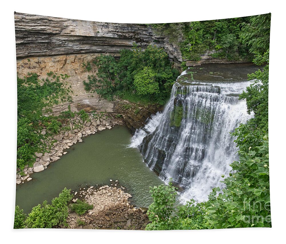 Burgess Falls State Park Tapestry featuring the photograph Burgess Falls 2 by Phil Perkins