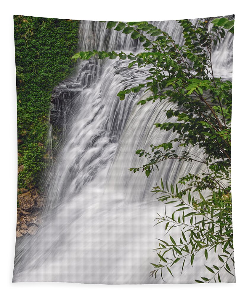Burgess Falls State Park Tapestry featuring the photograph Burgess Falls 3 by Phil Perkins