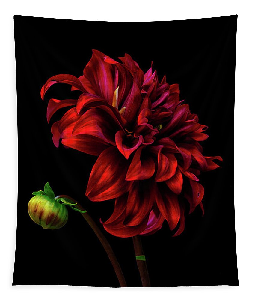 Dahlia Tapestry featuring the photograph Burn Daylight by Cynthia Dickinson