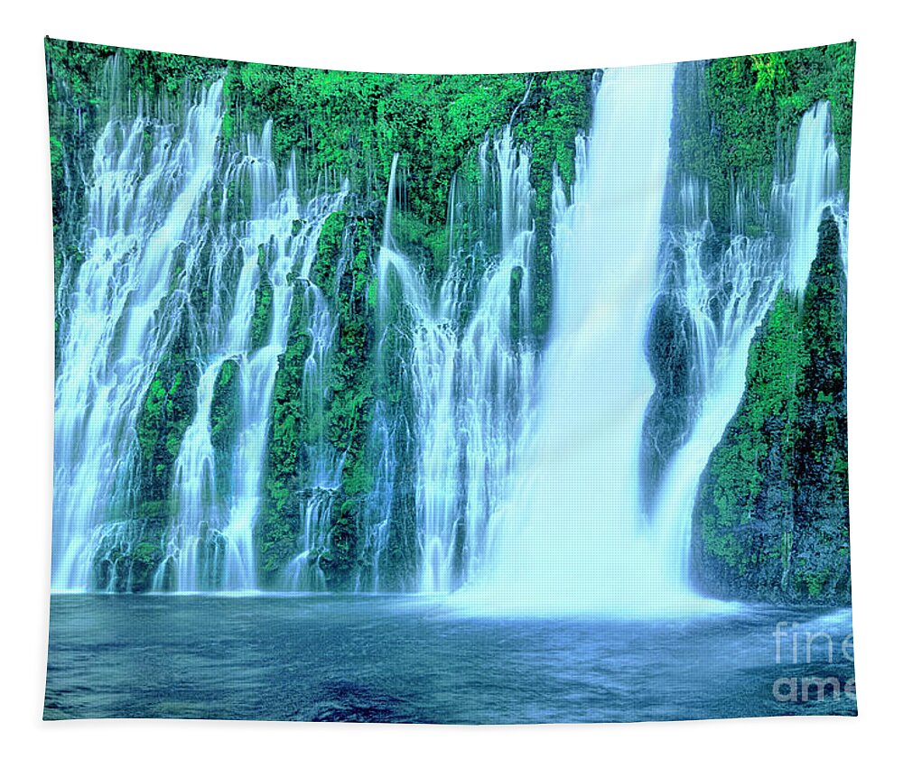 Dave Welling Tapestry featuring the photograph Burney Falls Mcarthur Burney State Park California by Dave Welling