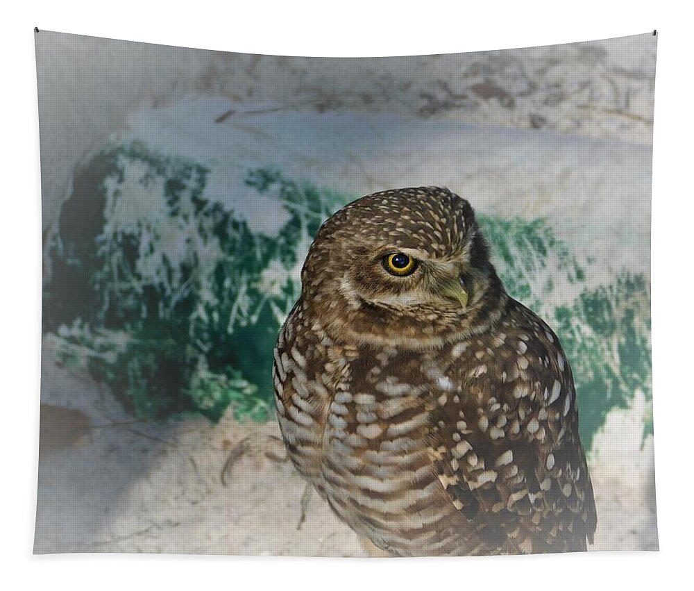 Owl Tapestry featuring the photograph Burrowing Owl by Carl Moore