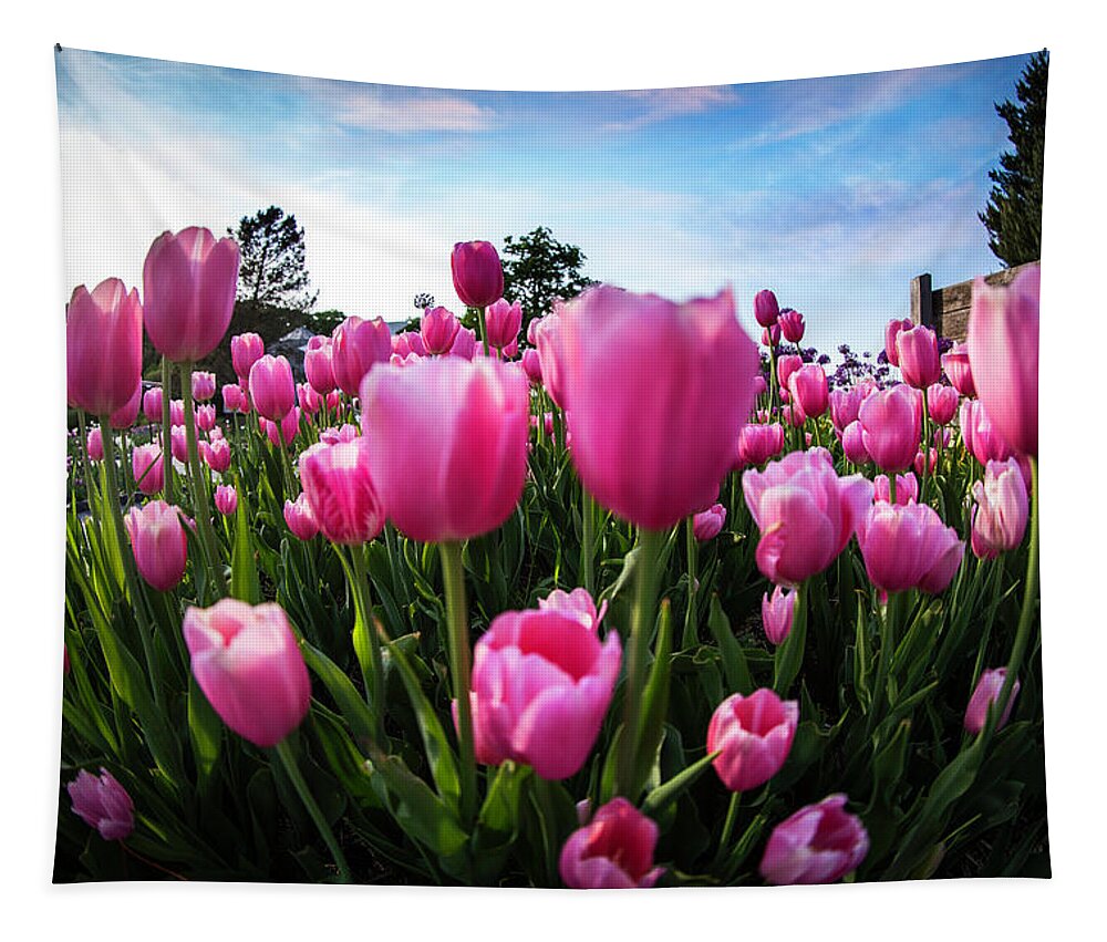  Tapestry featuring the photograph Bursting Tulips by Nicole Engstrom