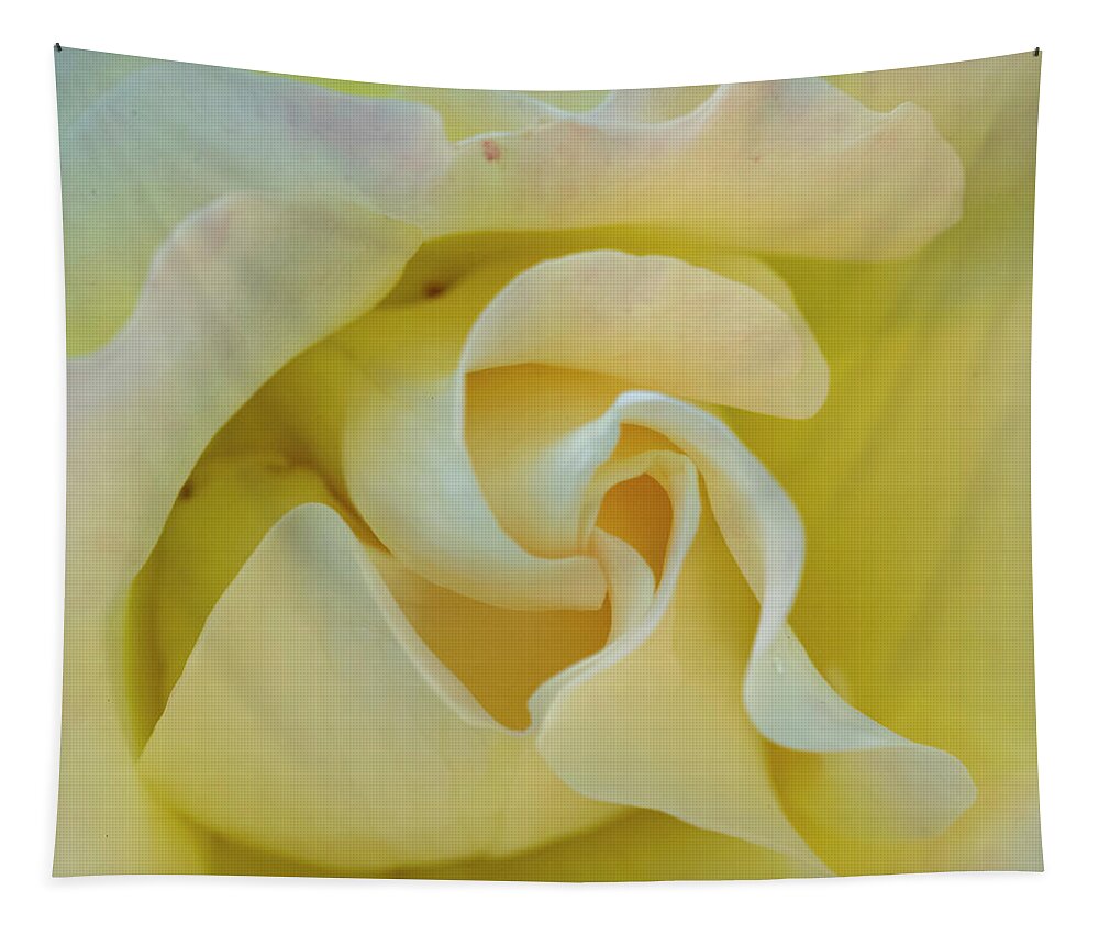 Rose Tapestry featuring the photograph Butter Cream by Cathy Kovarik