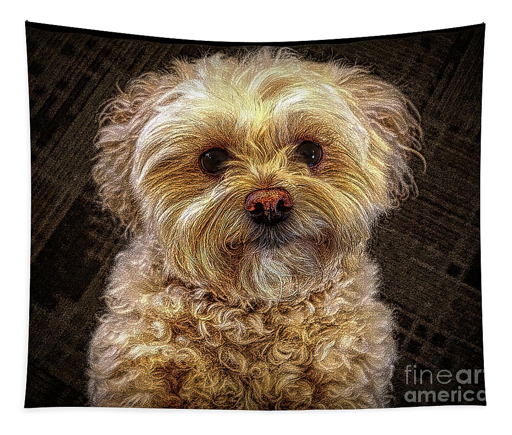 Dogs Tapestry featuring the digital art Buttercup Face by Deb Nakano