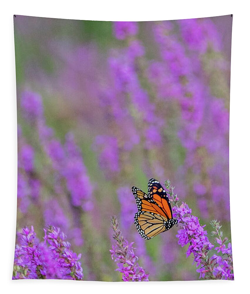 Butterfly Tapestry featuring the photograph Butterfly and Flowers by Sally Cooper