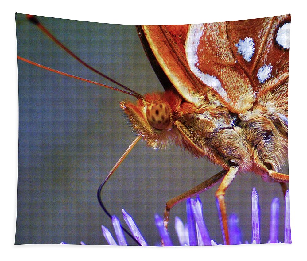 Nature Tapestry featuring the photograph Butterfly on a Bullthistle by Addison Likins