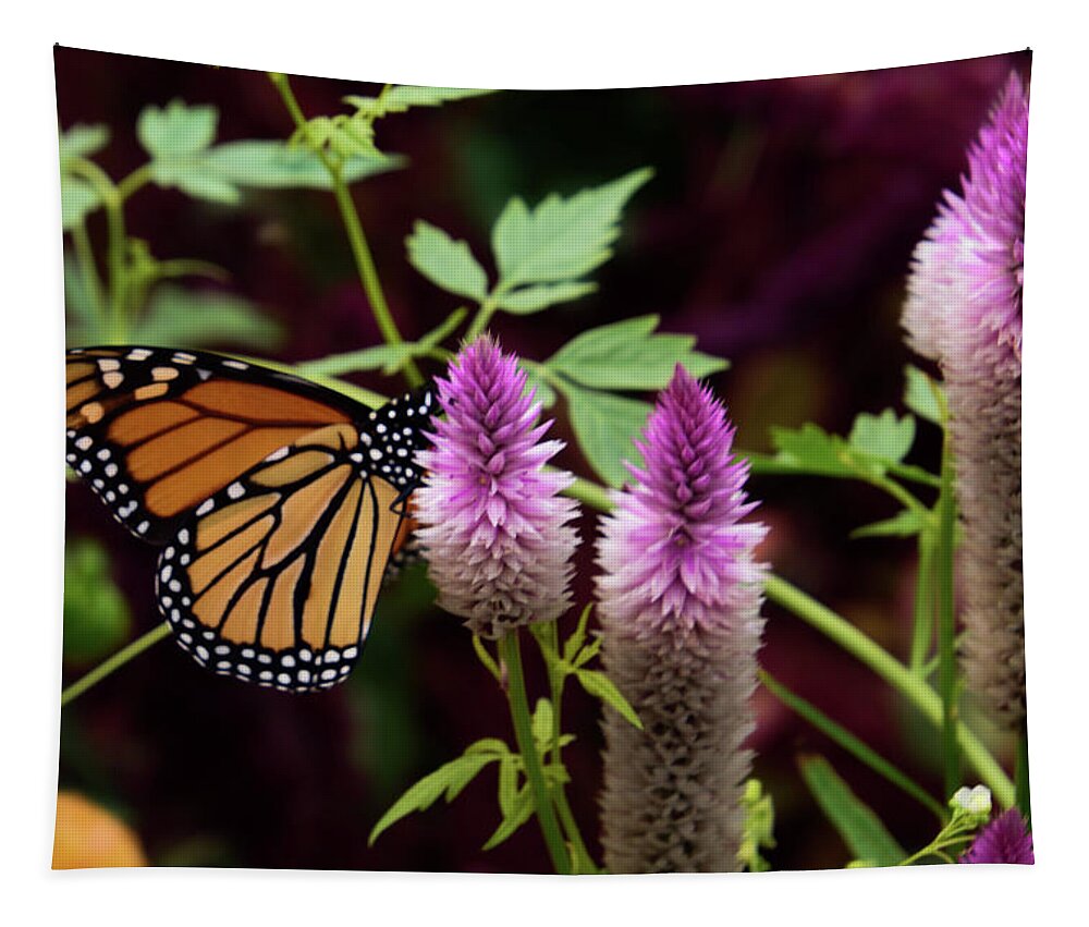 Monarch Tapestry featuring the photograph Butterfly on Celosia by Christina McGoran