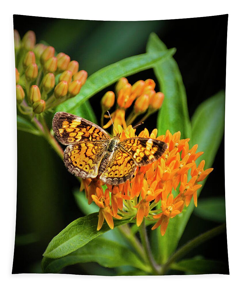 Butterfly On Flower Tapestry featuring the photograph Butterfly on Flower by Christina Rollo