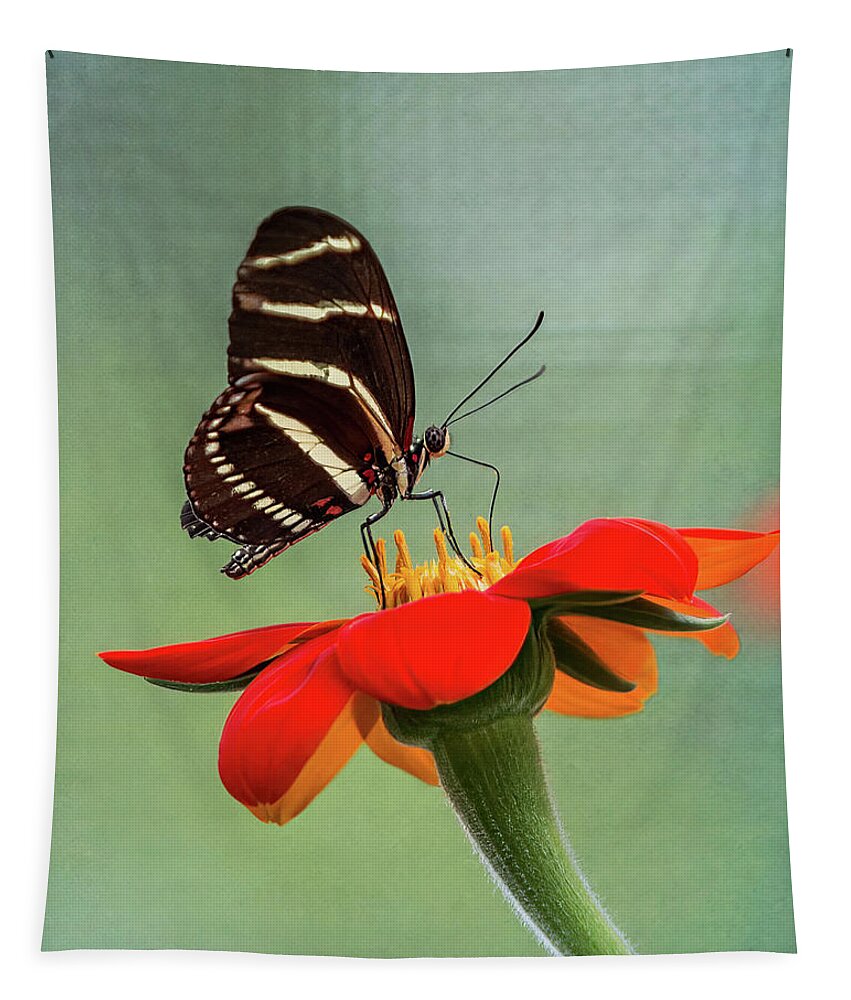 Butterfly Tapestry featuring the photograph Butterfly Zebra Longwing on Zinnia by Patti Deters