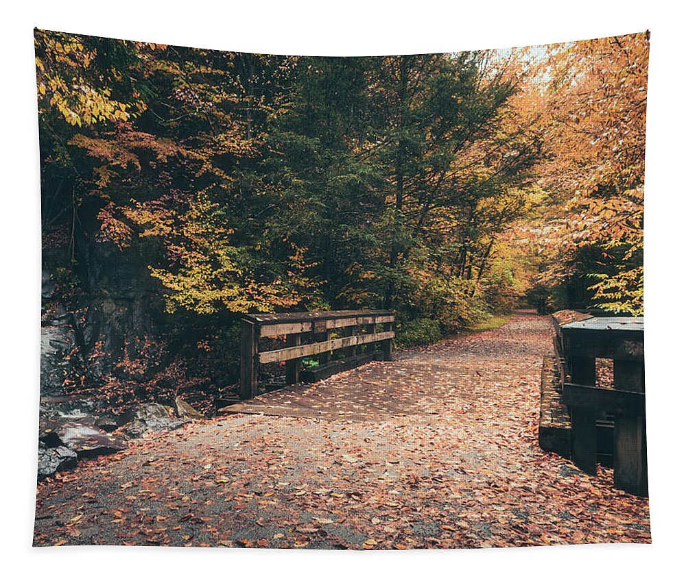 Waterfall Tapestry featuring the photograph Buttermilk Falls and DL Trail in Autumn by Jason Fink
